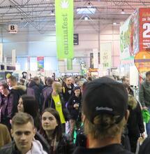 Cannafest 2017