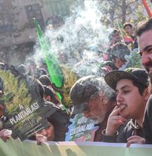 Chile en la Marcha Mundial de la Marihuana 2019