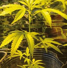 Montando tu rincón verde de cero