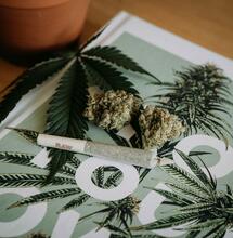 Iconic Moments in Cannabis History