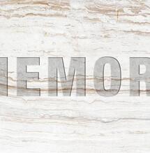 R.I.P. In Memoriam - In Memory Of Nevil Schoenmakers