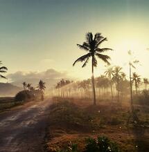 US-Basketballer droht in Indonesien Todesstrafe