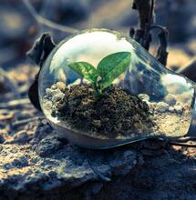 Industry Impact: Is cannabis bad for the environment?