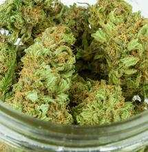 THCV, CBN, and CBG: The Minor Cannabinoids