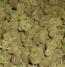 Italie : un tribunal confirme l’interdiction du CBD