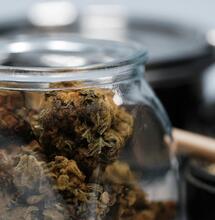 Jak skladovat palice konopí, aby neztrácely kvalitu?