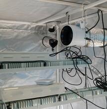 Jak vyřešit zápach při pěstování konopí