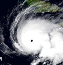 Destruction des plantations de cannabis en Jamaïque par l'ouragan Melissa 