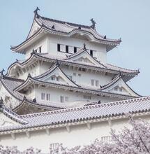 Le Japon autorise des médicaments à base de cannabis