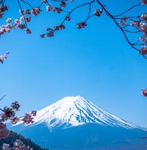 Japonsko vyšlo vstříc s konopím jen pacientům