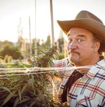 Jim Belushi i marihuana