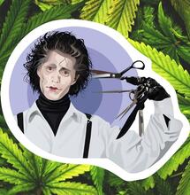 Johnny Depp i marihuana