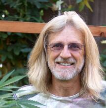La fin de la phase végétative : une révolution dans la culture du cannabis