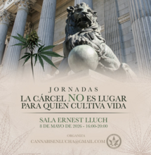 Jornadas en el Congreso: el impacto familiar de la prisión por cannabis