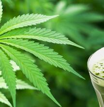 come non sprecare ed utilizzare le foglie fresche