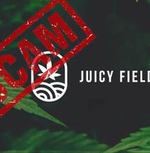 Juicy Fields je zřejmě podvod za stamiliony