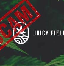 Juicy Fields : une arnaque à l’investissement dans le secteur du cannabis légal