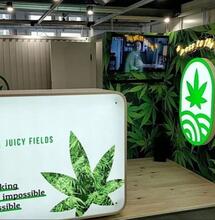 Juicy Fields : l’ancien PDG clame son innocence