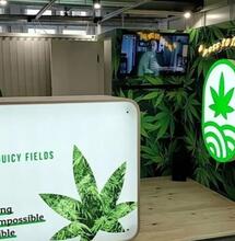 JuicyFields: Ex CEO afirma su inocencia