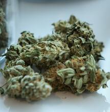 Kalifornie snižuje daně z konopí