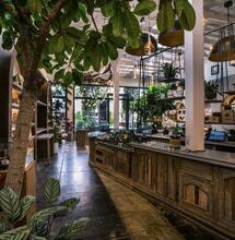 Kalifornie: Coffeeshopy konečně jako v Amsterdamu