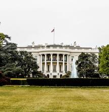 Kamala Harris Will Fully Legalise Recreational Cannabis