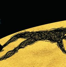 Kanada: legalizacja nie przyczyniła się do wzrostu przypadków psychozy