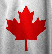 Kanadas legaler Cannabismarkt wächst stabil