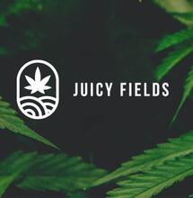 juicy fields kauza