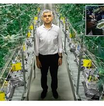 London Mayor "slammed" for Calls for Legalisation.