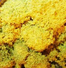 Kief cz.2 - Przesiew ręczny i maszynowy