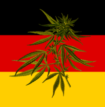 Koalicja sygnalizacji świetlnej ZA legalizacją konopi.