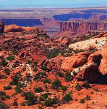 Kolorado: 15 miliardów dolarów z marihuany