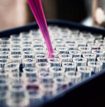 Konopné terpeny a cbd proti koronavirům