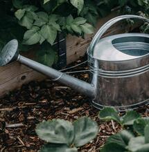 Kompostový čaj: Přírodní elixír pro rostliny