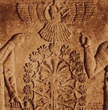 Konopie: od starożytnych reliktów do współczesności