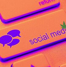 Konopie i media społecznościowe