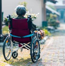 Konopí a Alzheimerova choroba