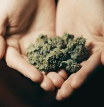 Konopny bukiet na walentynki