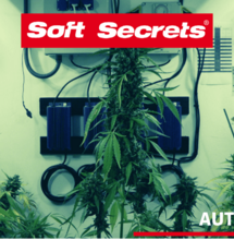 Automaty XXL: cel osiągnięty