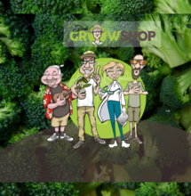 Dirk’s Growshop: Deine Experten für Homegrow & Gärtnerzubehör