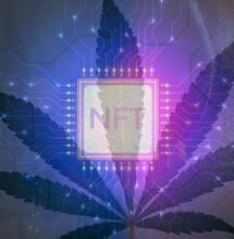 Krypto a NFT jako řešení pro konopný byznys