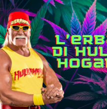 Anche Hulk Hogan entra nel business della Cannabis