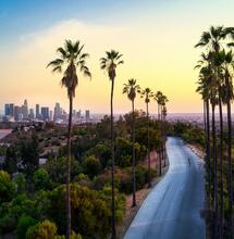 The Definitive Cannabis Travel Guide to Los Angeles