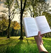 Dope-Literatur zum Lockdown 2.0