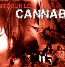 Les meilleures campagnes anti-cannabis françaises