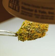 Lab tests cheating Colorado