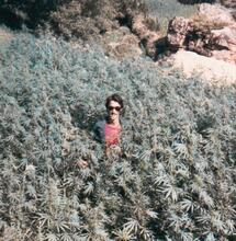 Landrace - rzadkie i zagrożone odmiany