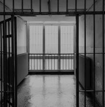 The Last Prisoner Project