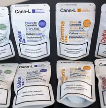  Suisse : le cannabis légal concurrence le marché noir à Lausanne 